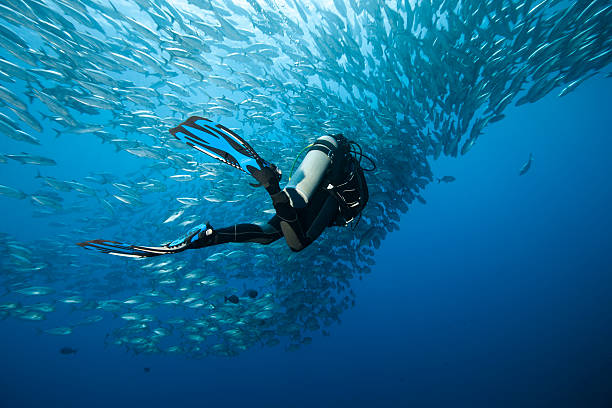 Plongée sous-marine